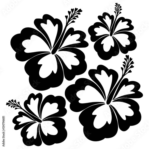Hibiscus Abstract Illustration