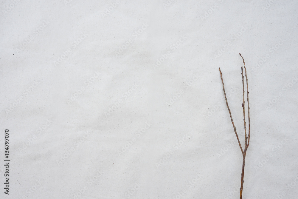 Obraz premium Dry branches on white muslin fabric with copy space from top view