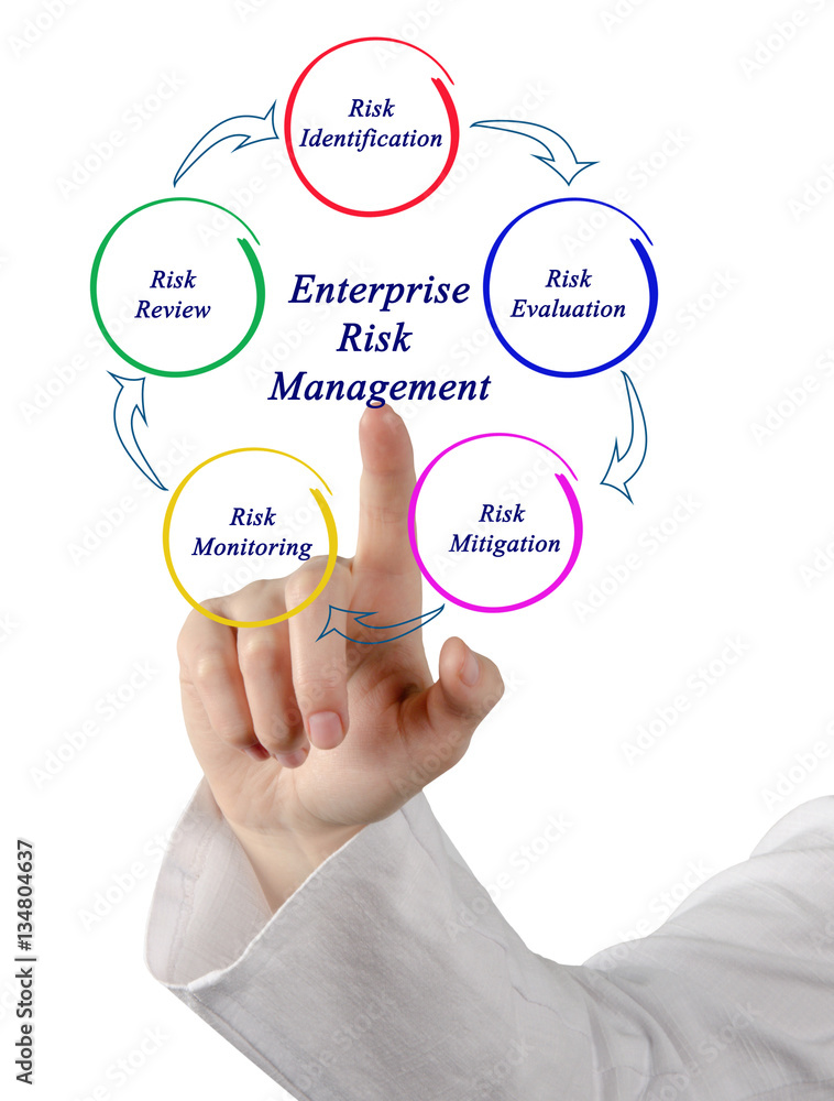 Enterprise Risk Management Enterprise Risk Management