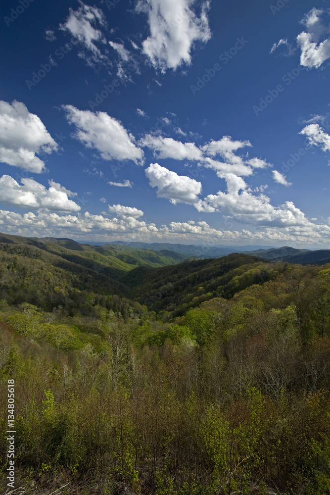 Spring, Newfound Gap Rd, Great Smoky Mountains NP, TN-NC
