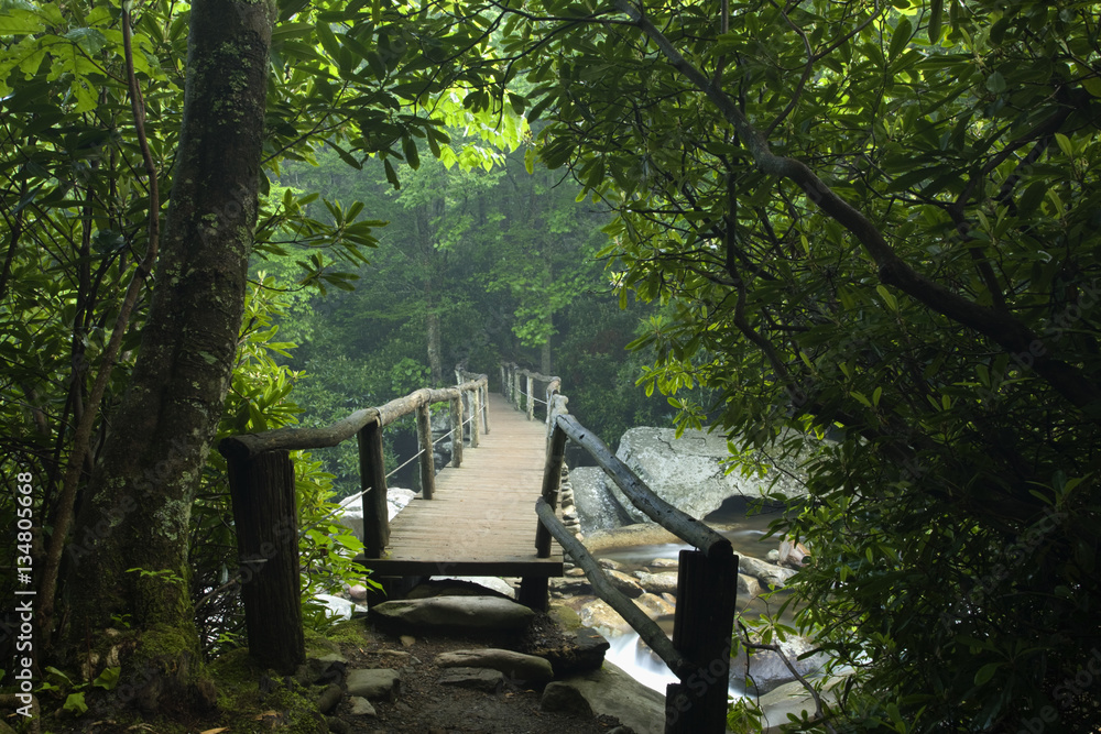 Footbridge, Chimney Tops Trail, Great Smoky Mtns Nat Park, TN Footbridge, Chimney Tops Trail, Great Smoky Mtns Nat Park, TN