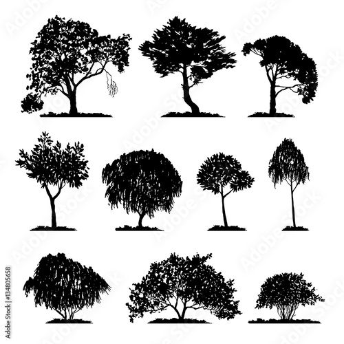 vector set of deciduous trees