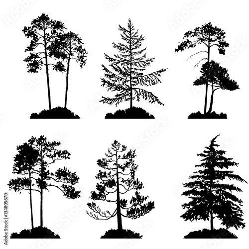 vector set of conifer trees