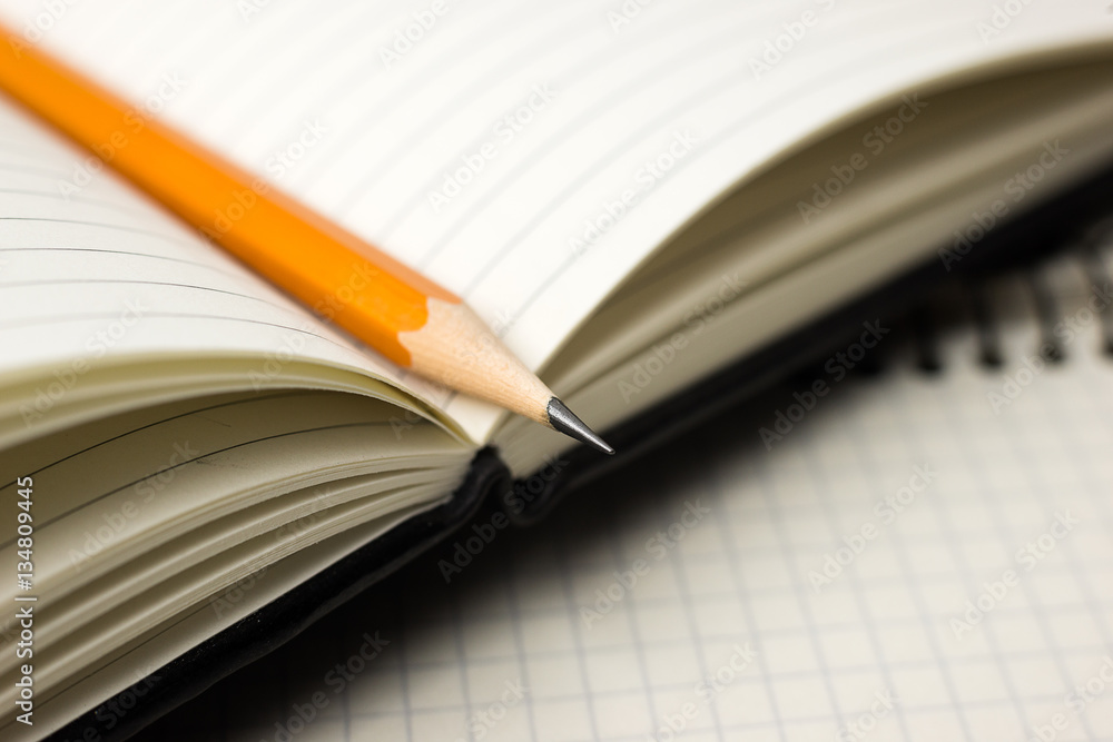 custom made wallpaper toronto digitalPencil on the pages of an open notebook for records