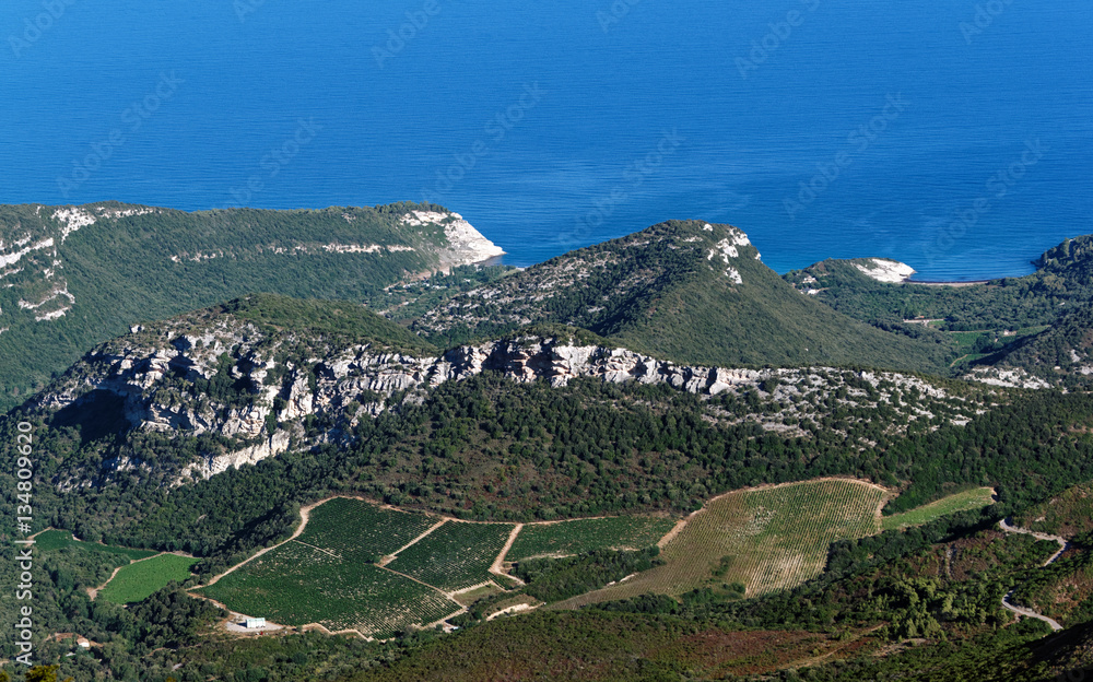 collines de Patrimonio en haute Corse