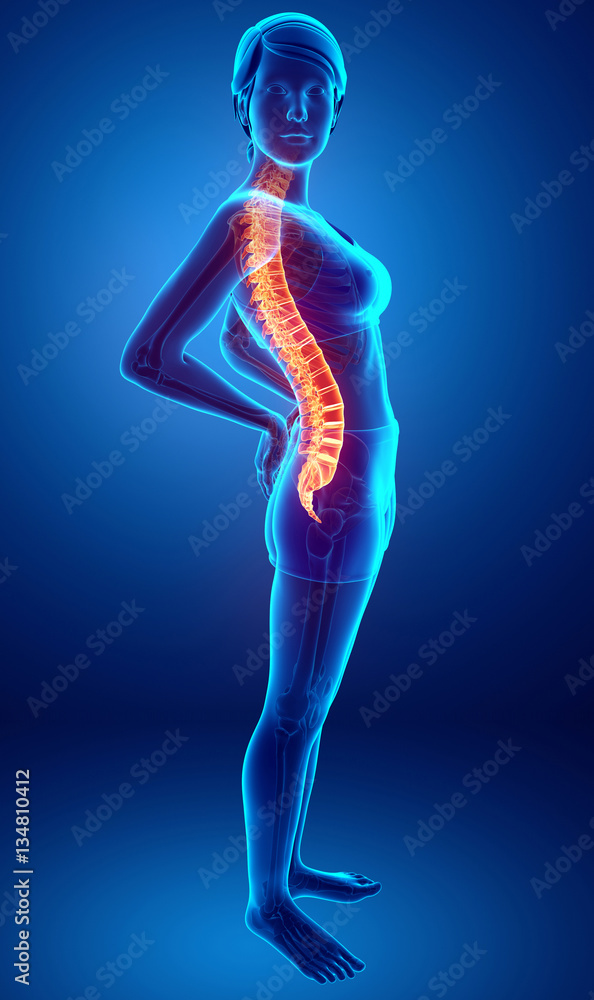 Women Feeling the Back pain Women Feeling the Back pain