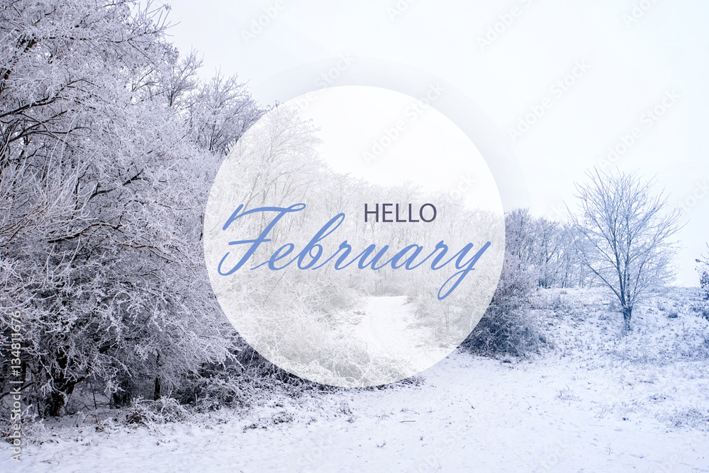 Hello february wallpaper, winter landscape with frozen forest Stock
