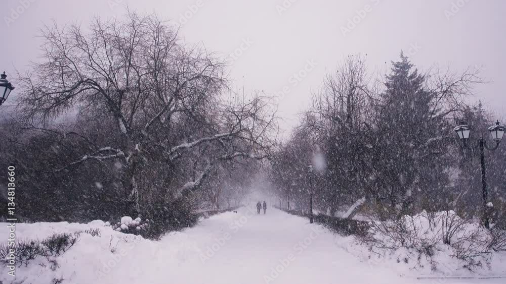 Two people are on the snow-covered forest Two people are on the snow-covered forest