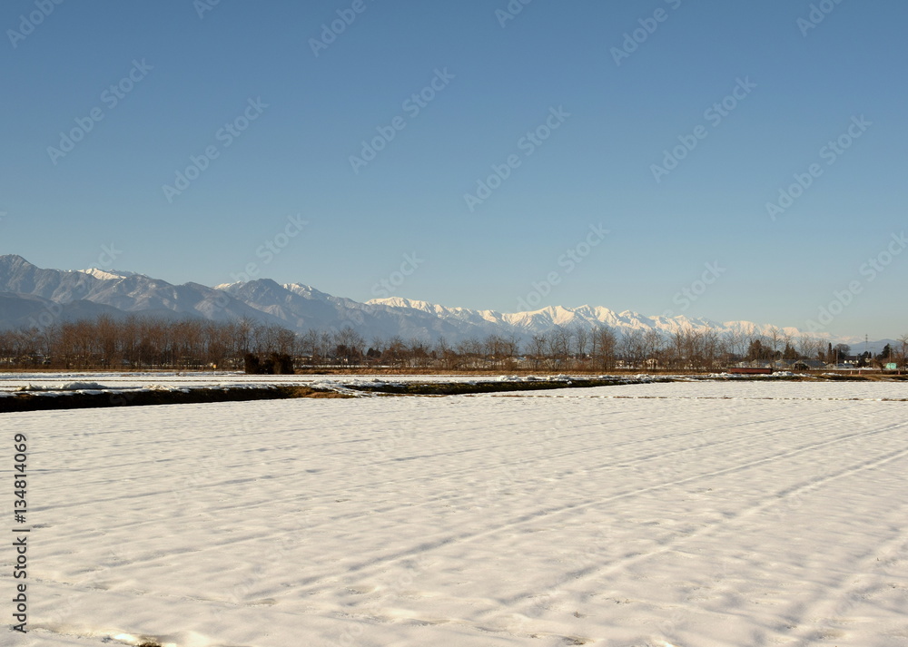 Obraz premium 信州の風景 雪の田園と北アルプス