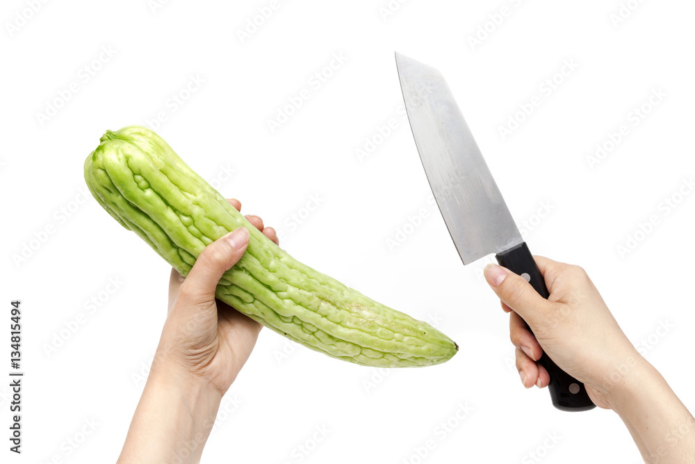 Hands holding gourd, bitter cucumber or balsam pear and knife,