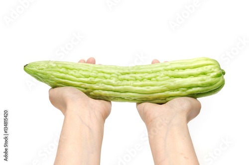 Hands holding gourd, bitter cucumber or balsam pear on white bac