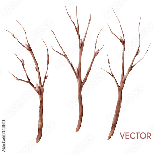Hand drawn vector watercolor spring tree branches set isolated on white. Twigs with buds. 