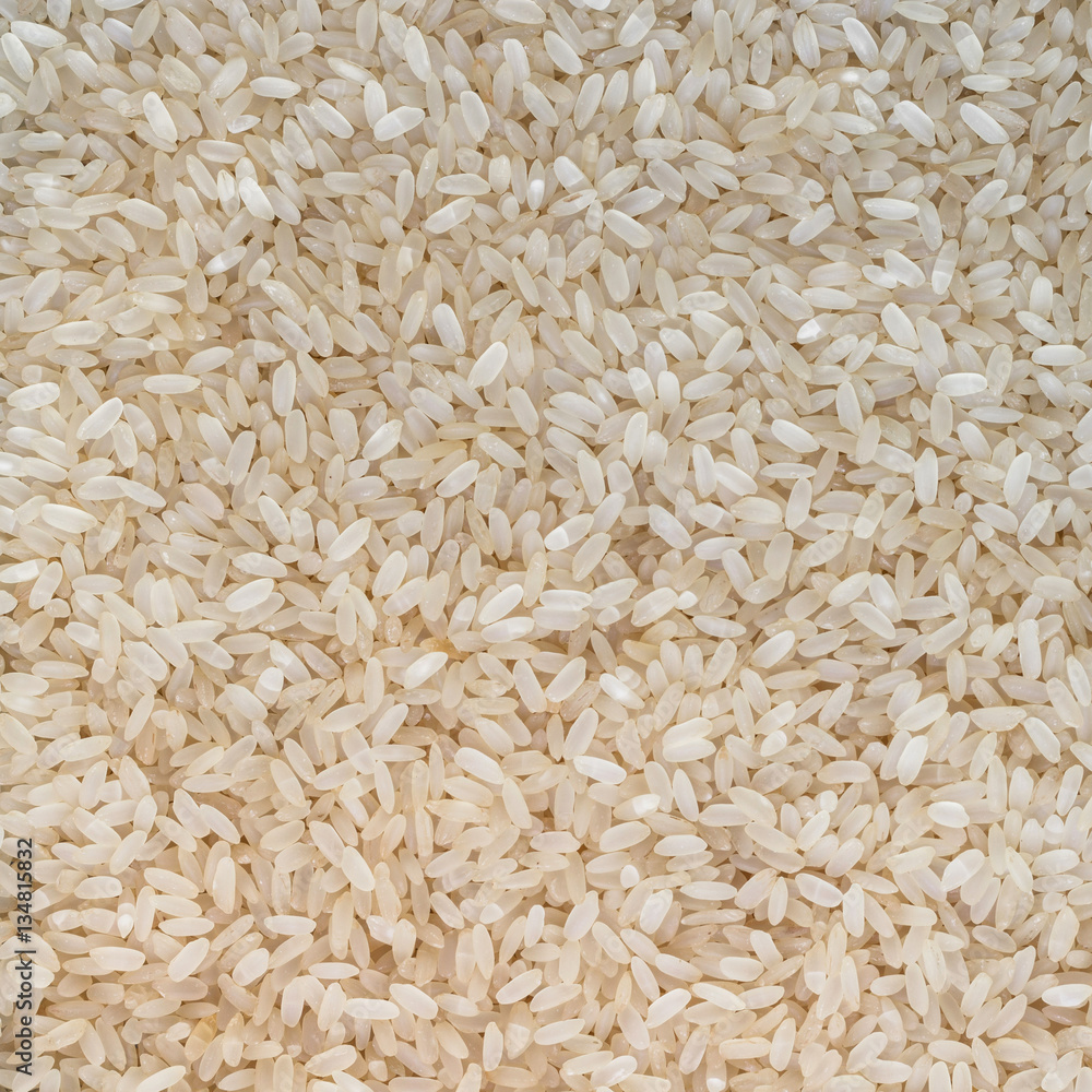 Grain rice background Grain rice background
