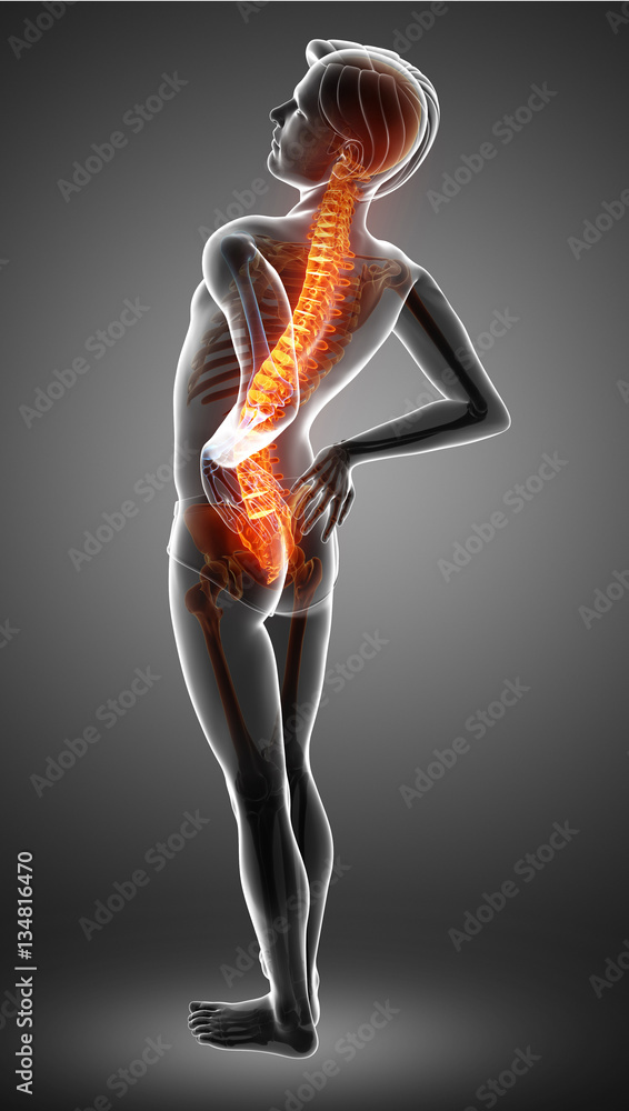 Obraz premium Male Feeling the back pain