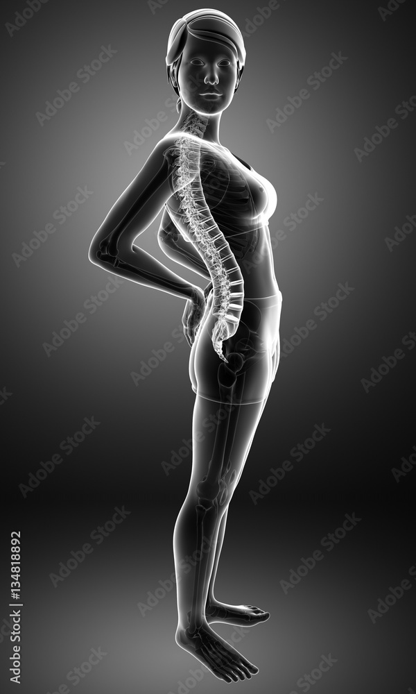 Women Feeling the Back pain Women Feeling the Back pain