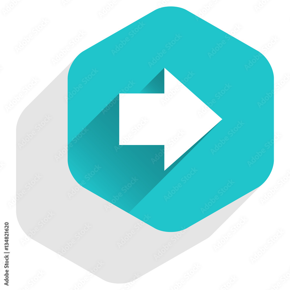 Arrow sign hexagon icon flat long shadow style Arrow sign hexagon icon flat long shadow style