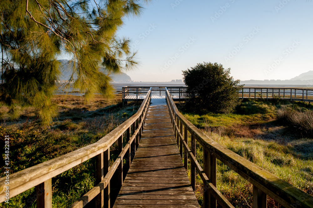 Naklejka premium camino hacia el mar