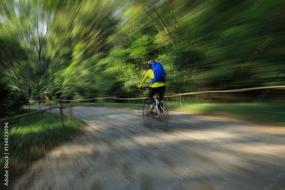 Fototapeta premium young woman riding mountain bike on forest trail