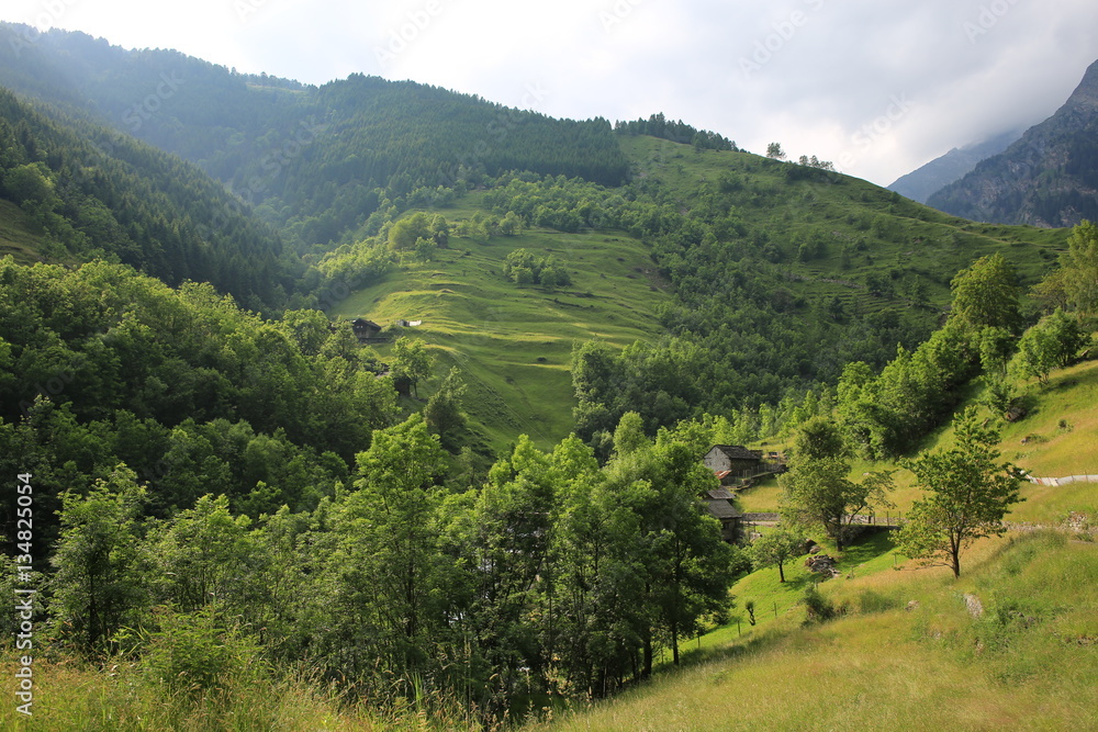Malvaglia Valley in Tessin, Switzerland