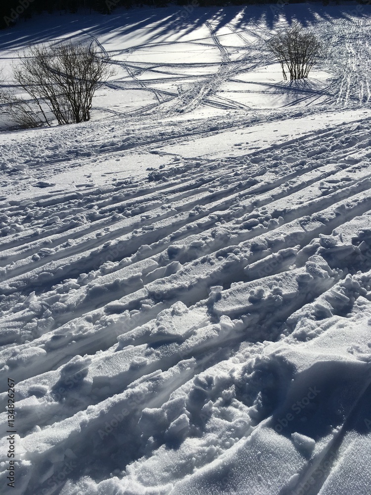 Obraz premium Nature in winter