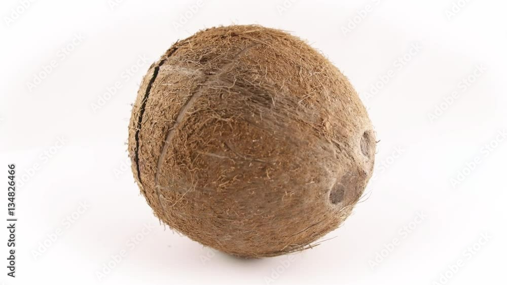 Whole Unopened Tropical Coconut Fruit Rotating Isolated by White Background Whole Unopened Tropical Coconut Fruit Rotating Isolated by White Background