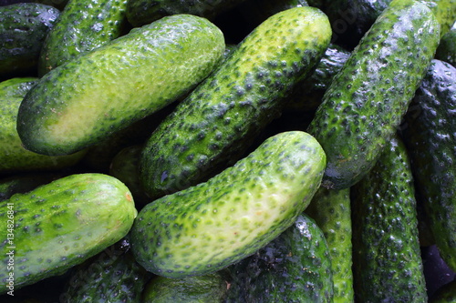 fresh pickling cucumbers closeup food background