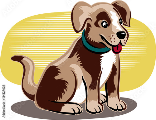 Cute little dog to pet.