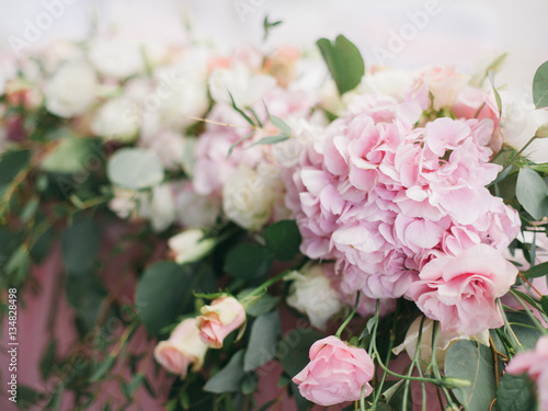 floristics composition, pink hydrangea
