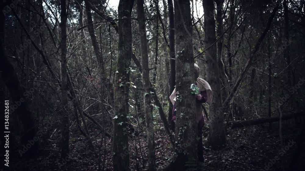 4K Horror Scarecrow with Sackcloth Mask Hiding in Forest 4K Horror Scarecrow with Sackcloth Mask Hiding in Forest