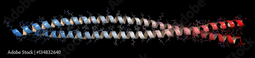 Foto Keratin intermediate filament, chemical structure. 3D rendering.