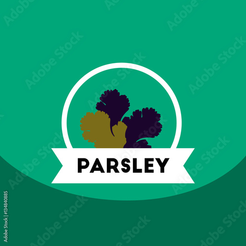 flat vector icon design collection Kitchenware seasoning parsley