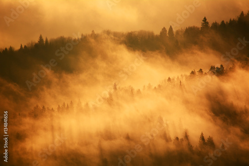 Morning fog in Polish mountains. Fot. Konrad Filip Komarnicki / EAST NEWS Krynica - Zdroj 12.11.2015 Wschod slonca na Jaworzynie Krynickiej. Las skapany w porannej mgle.
