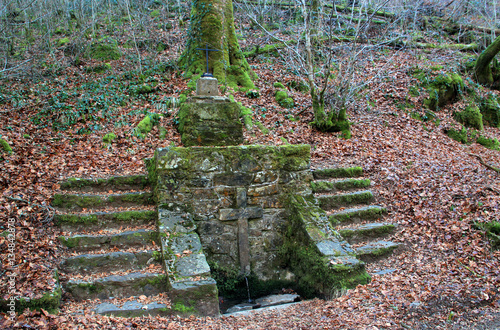 Fontaine de l'hermite en forêt de Blanchefort. photo