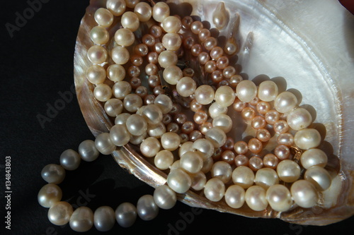 pearl necklaces sparkle in the pearl shell