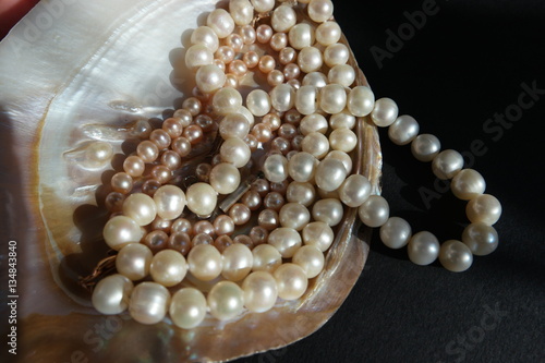 pearl necklaces sparkle in the pearl shell
