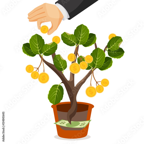 Money tree with golden coins. Assets useful or valuable thing