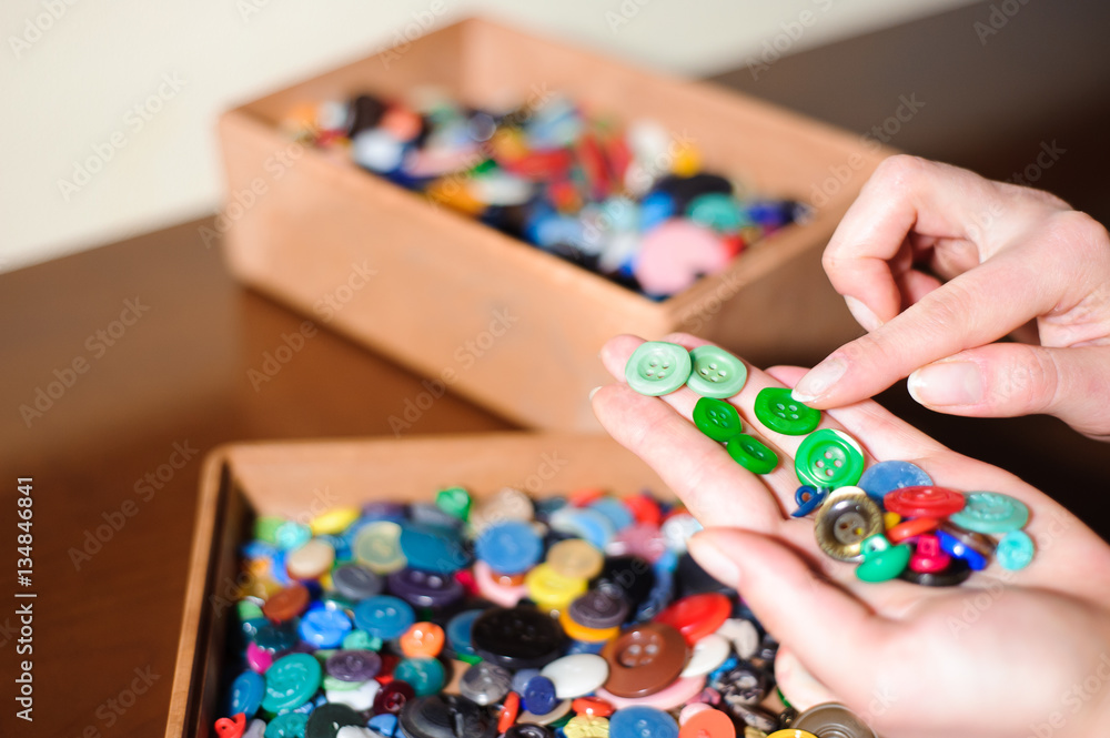 colorful sewing buttons in the hands, selection of the right but colorful sewing buttons in the hands, selection of the right but