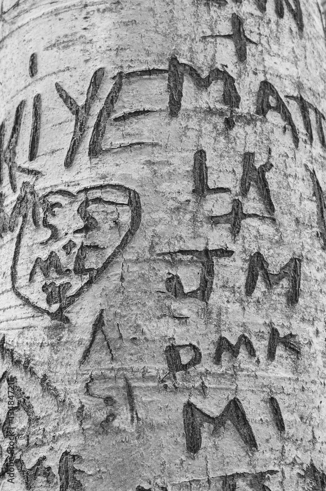 Love Messages Carved on the Tree in Lover's Lane, Green Gables Heritage Place, home of the famous writer Lucy Maud Montgomery, author of Anne of Green Gables