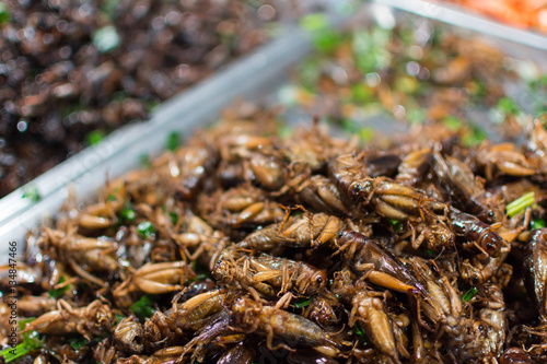 Fried insects various types