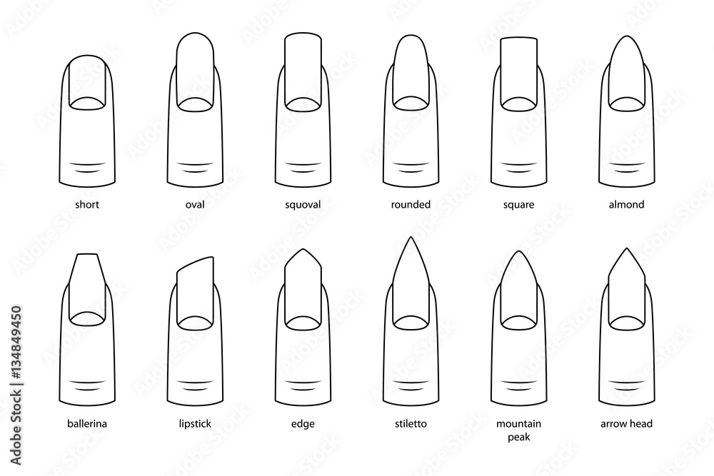 Nail shapes, vector illustration Nail shapes, vector illustration