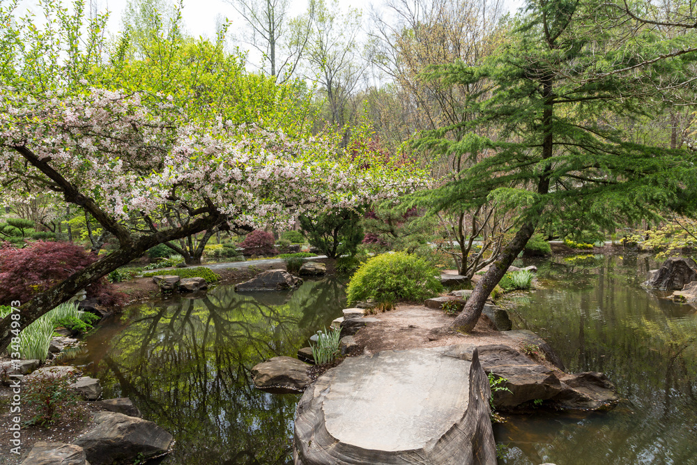 A Peaceful Oasis A Peaceful Oasis