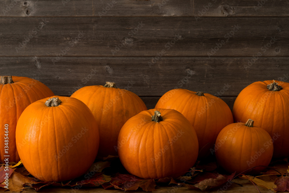 Pumpkins of Different Sizes on Dried Leaves with Copy Space Pumpkins of Different Sizes on Dried Leaves with Copy Space