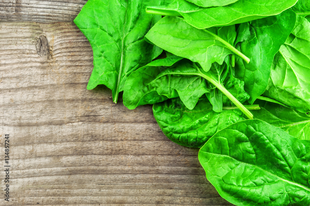 green fresh spinach green fresh spinach