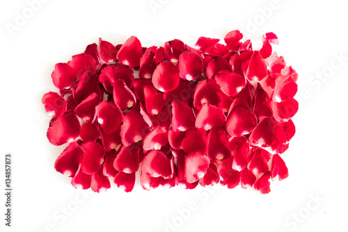 Red roses petals Valentine's Day