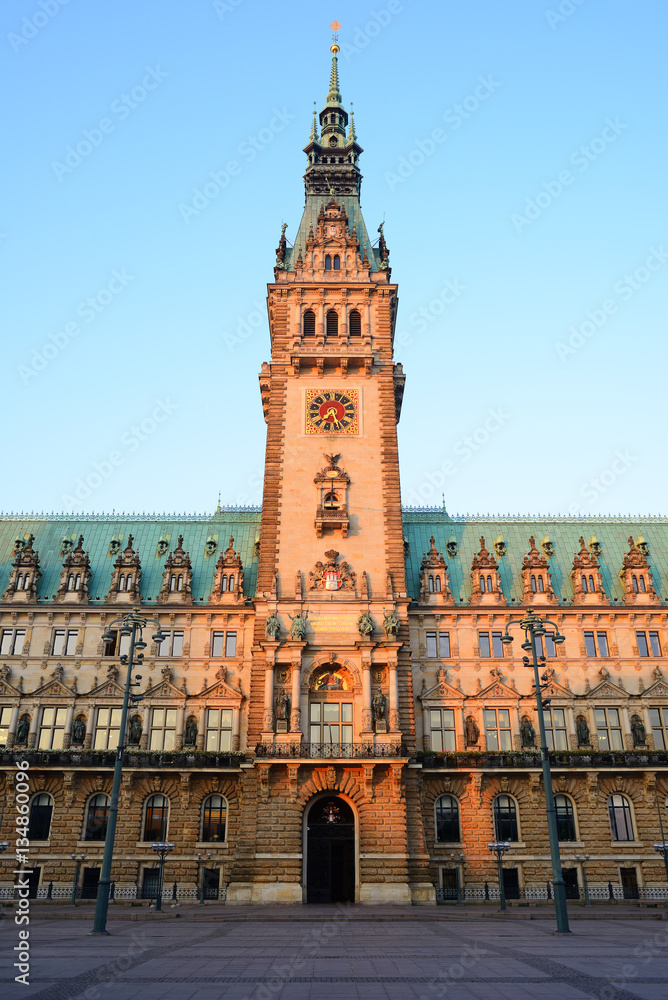 Fototapeta premium City Hall in Hamburg, Germany