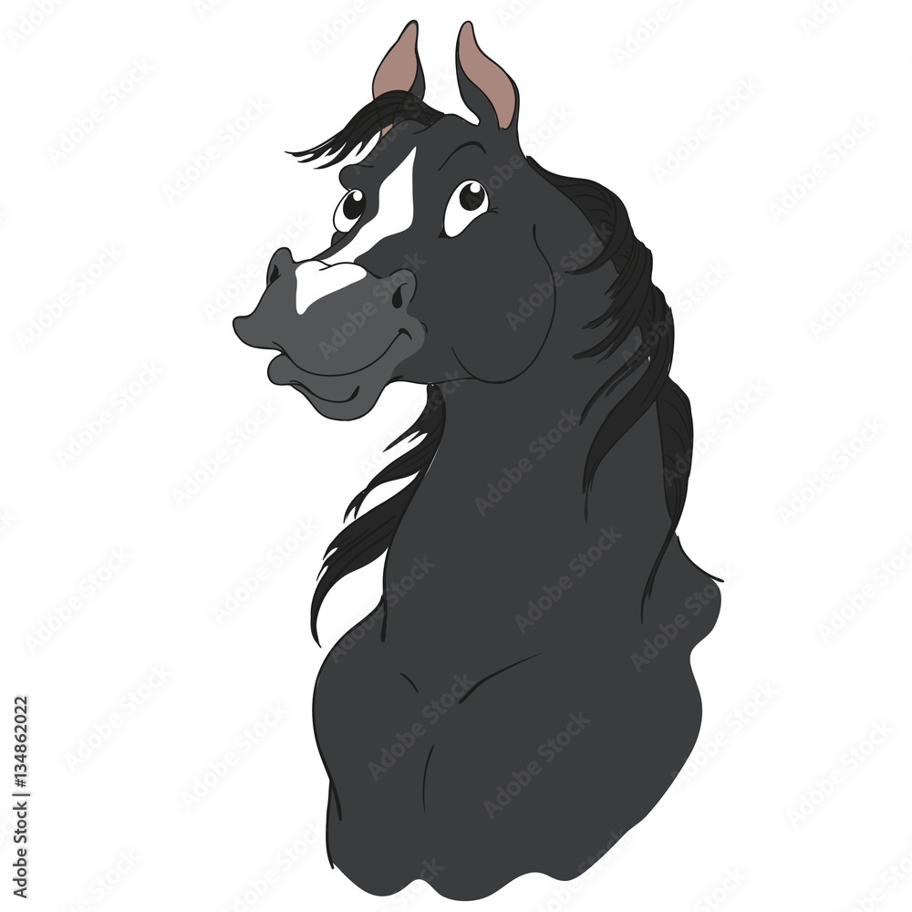 The bay horse. Horse's head. Black horse suit. The bay horse. Horse's head. Black horse suit.