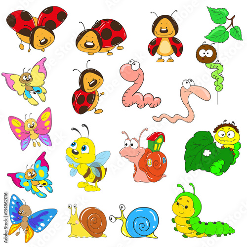 Set of cartoon characters. Insects vector. Snail, caterpillar, worm, beetle, ladybug, bee.