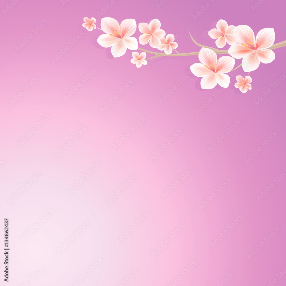 Flowers design. Flowers background. Branch of sakura with flowers. Cherry blossom branch on purple violet background. Vector Flowers design. Flowers background. Branch of sakura with flowers. Cherry blossom branch on purple violet background. Vector