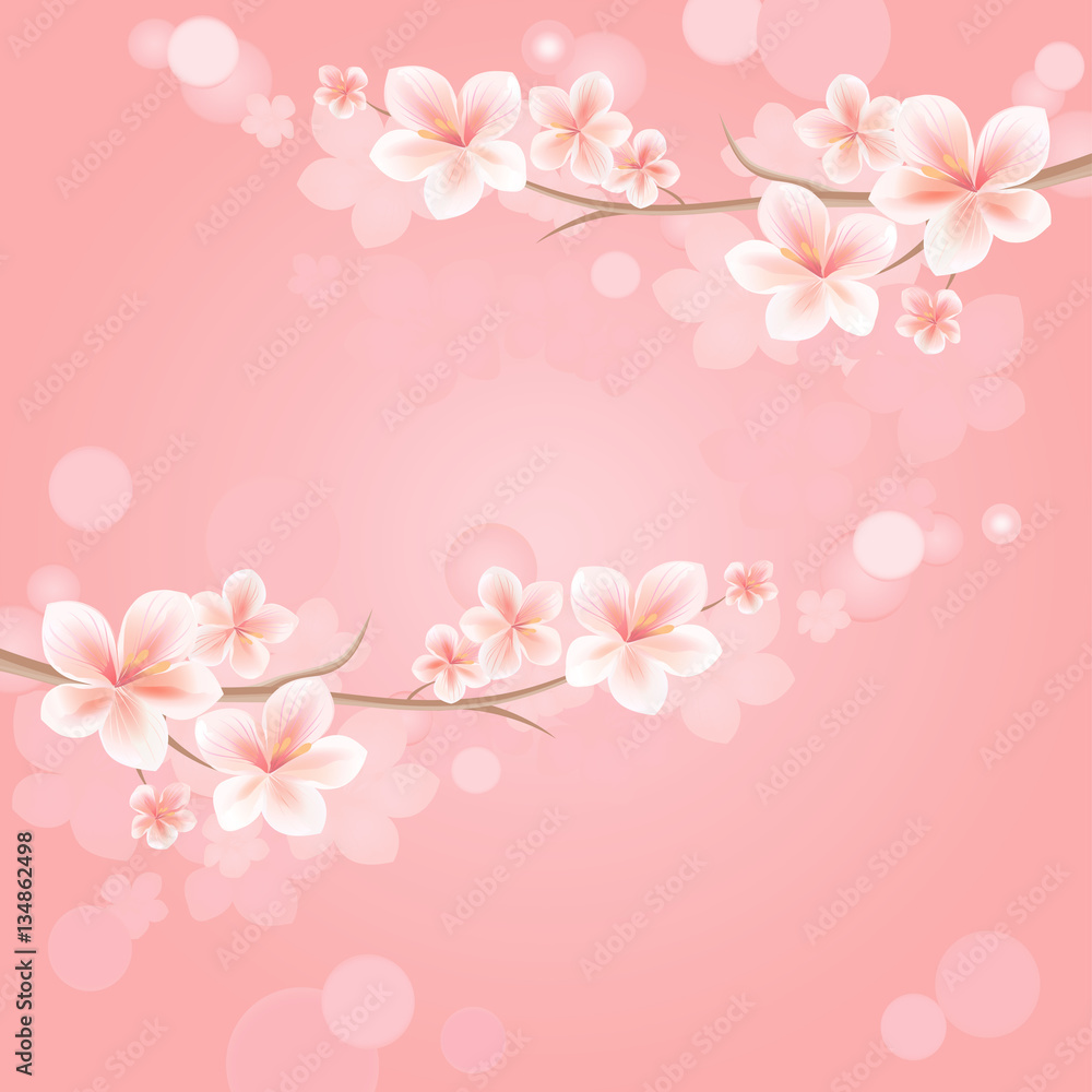 Flowers background with bokeh. Flowers design. Sakura blossoms. Cherry blossom branches on pink. Vector 
