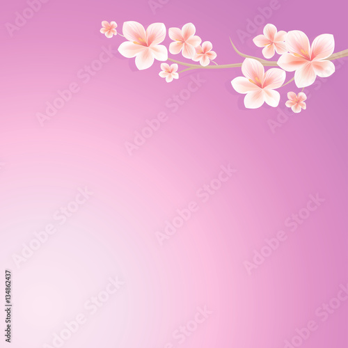 Flowers design. Flowers background. Branch of sakura with flowers. Cherry blossom branch on purple violet background. Vector 